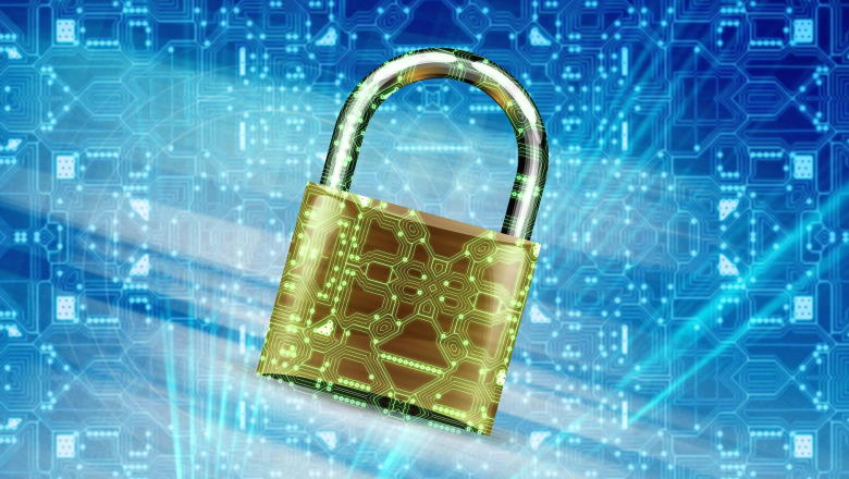 Best crypto hardware wallets reviewed