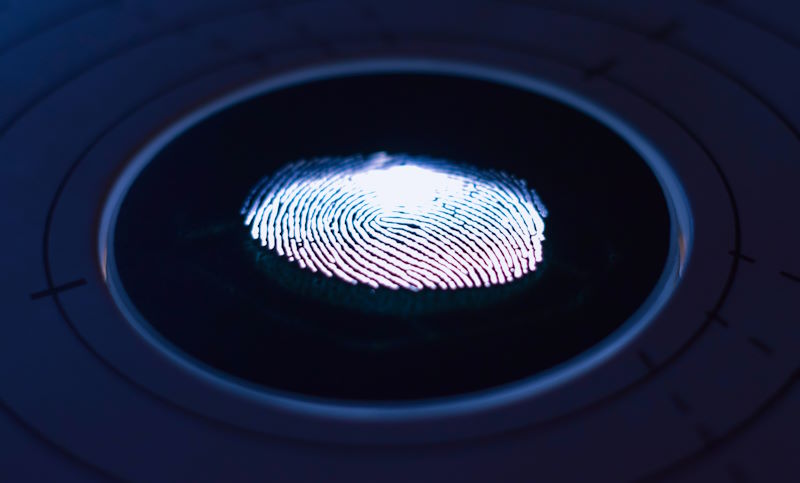 Why do scammers give crypto back?