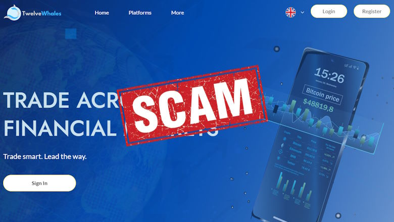 Twelve Whales crypto scam